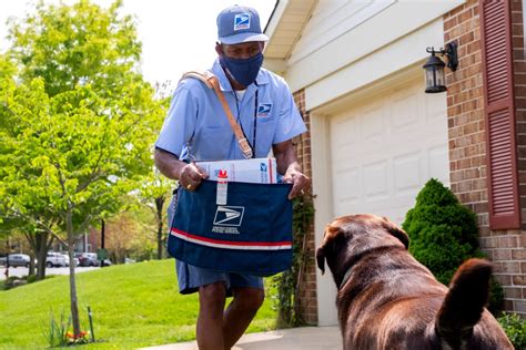 California sits atop US Postal Service’s national dog bite rankings